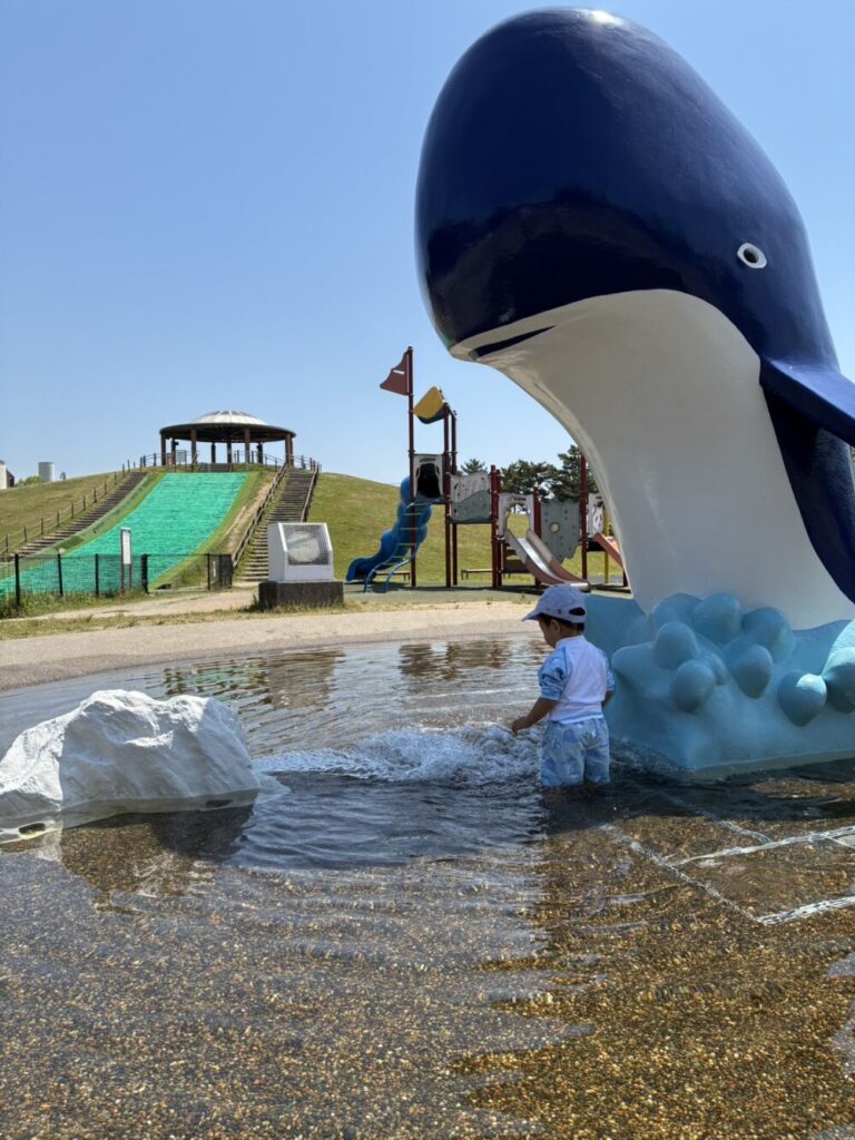 身長78cmの1歳児が、膝下ほどの浅い水場で楽しそうに水遊びをしている様子。